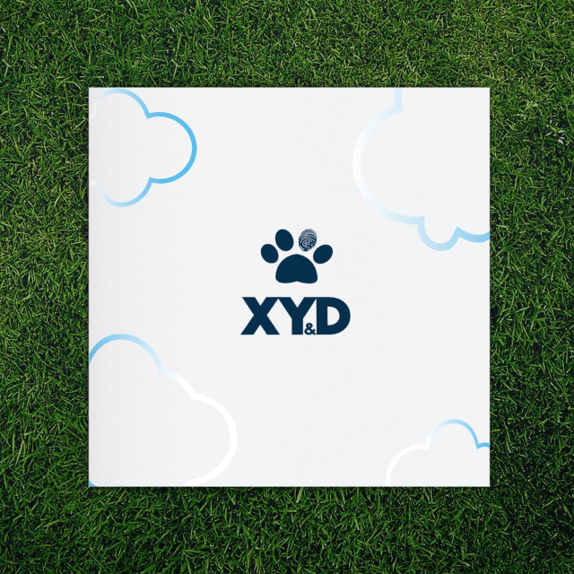 xyd 1